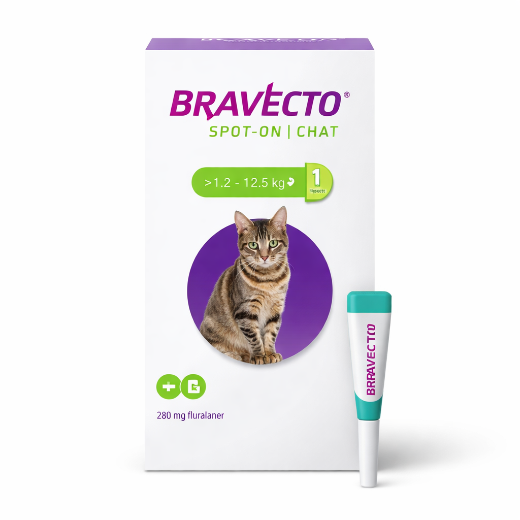 Bravecto Spot-On Chat
